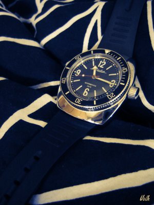 DSC06874 obrada 07 Volk.jpg