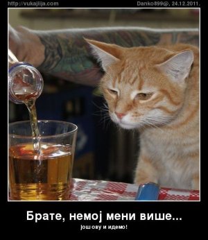 brate-nemoj-meni-vise.jpg