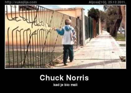chuck-norris.jpg