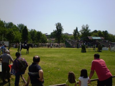 konj preskace prepreke na poljoprivrednom sajmu.jpg