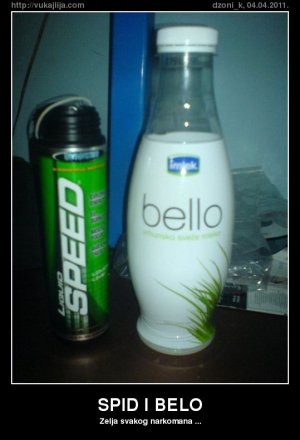 spid-i-belo.jpg