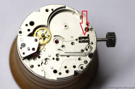 DSC_5174.jpeg DSC_5174.jpeg