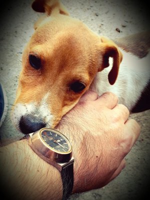 omega i djavolak .jpg omega i djavolak .jpg