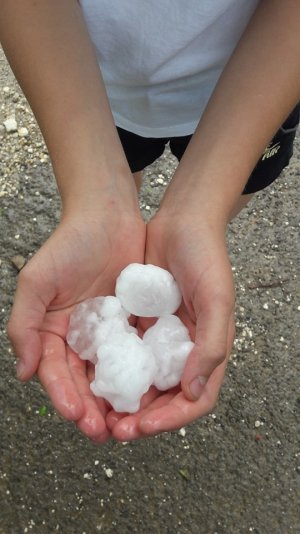 64844092_2730632313631798_1493825346791800832_n.jpg 64844092_2730632313631798_1493825346791800832_n.jpg