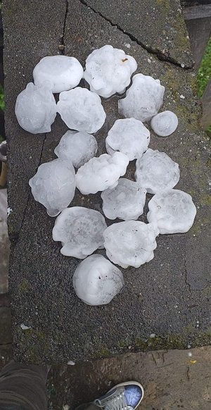 64929969_2730632060298490_4146201414256820224_n.jpg 64929969_2730632060298490_4146201414256820224_n.jpg