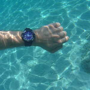 IMG_20190628_140434-1536x1535.jpg IMG_20190628_140434-1536x1535.jpg