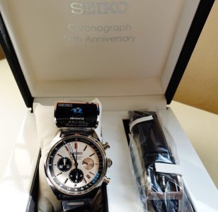 Limited Edition 50th Anniversary Seiko BrightZ Panda (SDGZ013)3.jpg