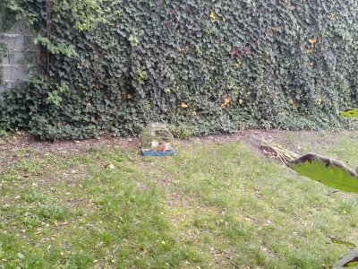 IMG_20131022_130028 (1).jpg