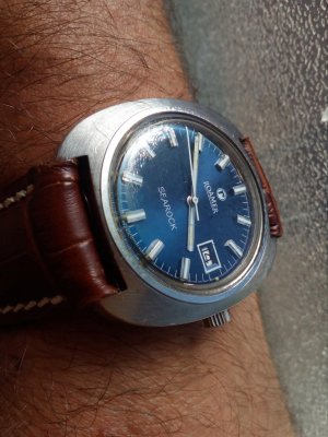 IMG_20200614_154939.jpg IMG_20200614_154939.jpg