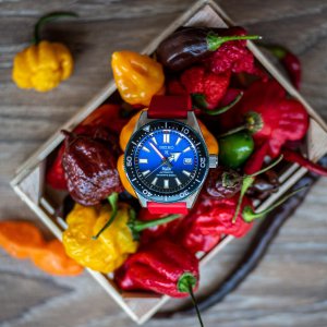 SAM_4196-2.jpg SAM_4196-2.jpg