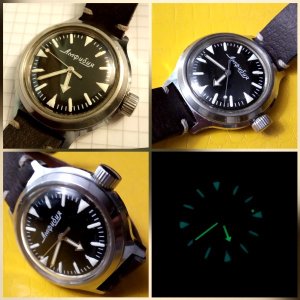 amfibijin kolaz 01.jpg