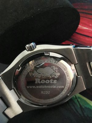 IMG_20210317_140806.jpg IMG_20210317_140806.jpg