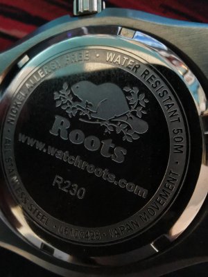 IMG_20210317_140833.jpg IMG_20210317_140833.jpg