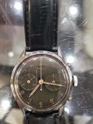 IMG_20210309_082553.jpg IMG_20210309_082553.jpg