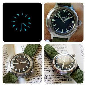 amfibijsko-kolažne aktivnosti.jpg