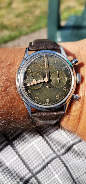 IMG_20210616_084303.jpg IMG_20210616_084303.jpg