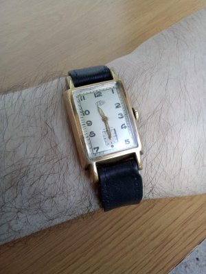 IMG_20210620_113123.jpg IMG_20210620_113123.jpg