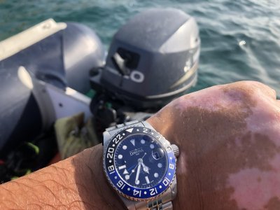 48EEC7F4-BAC8-452F-9C0D-382C2414AA80.jpg 48EEC7F4-BAC8-452F-9C0D-382C2414AA80.jpg