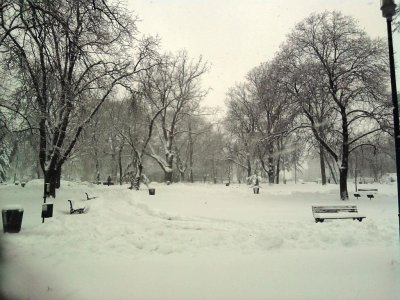Pionirski park.jpg