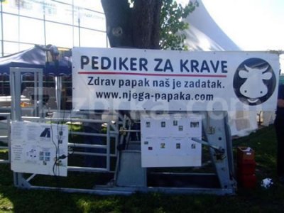pedikir-za-krave.jpg