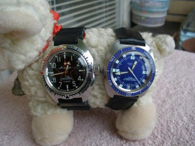 Amfibia & Nautilus 1.jpg