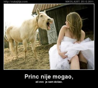 princ-nije-mogao.jpg