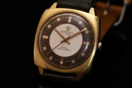 IMG_9196 (Small).JPG IMG_9196 (Small).JPG