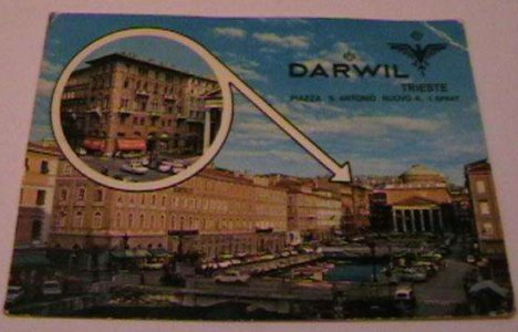 darwil razglednica.jpg darwil razglednica.jpg