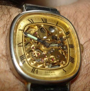 darwil skeleton.jpg darwil skeleton.jpg