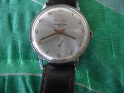 SDC11909.jpg SDC11909.jpg