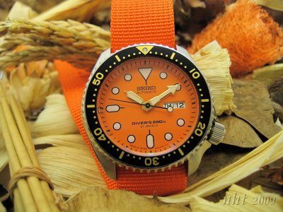 Seiko (SKX011J).jpg
