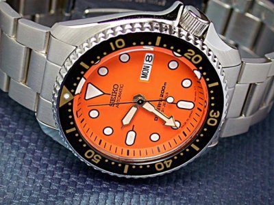skx011J.sized.jpg