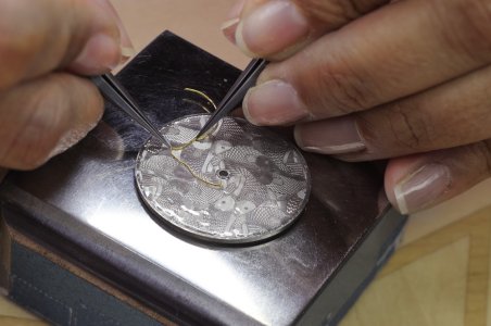 VC Fish 4.jpg VC Fish 4.jpg