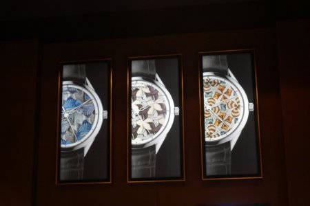 VC Fish Star Dove 1.jpg VC Fish Star Dove 1.jpg