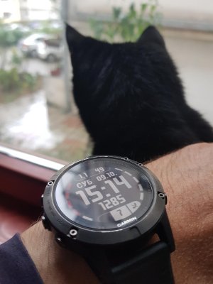 20211009_151458.jpg 20211009_151458.jpg