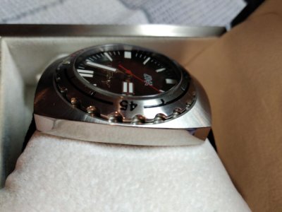 IMG_20180329_1712422.jpg IMG_20180329_1712422.jpg