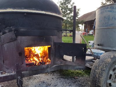 20221014_172911.jpg 20221014_172911.jpg