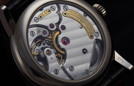 PD SIMPLICITY ZENEVSKA SARA REVOLUTION.jpg