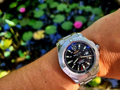 20230821_081830 (2).jpg