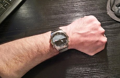 gavia b.jpg gavia b.jpg