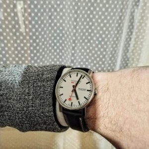 IMG_20241212_170414 (1) (1).jpg