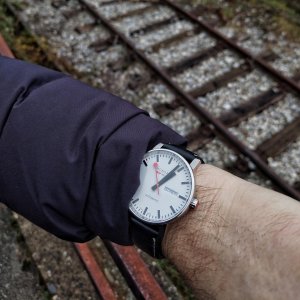 IMG_20241215_130304 (1).jpg