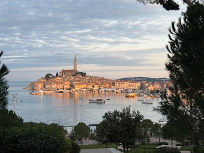 IMG_4439.jpeg IMG_4439.jpeg