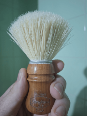 f03a5c4f-19d4-4d07-9840-cf4f7707048d (1).png