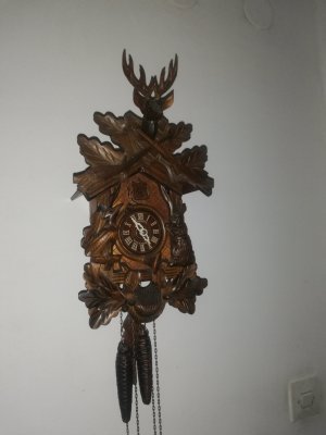 IMG_20260304_090125.jpg IMG_20260304_090125.jpg