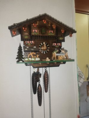 IMG_20260304_090113.jpg IMG_20260304_090113.jpg