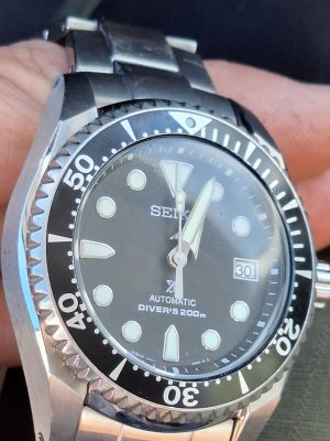 1000019240.jpg 1000019240.jpg