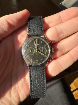 Image 2026-03-10 at 12.38.09.jpeg