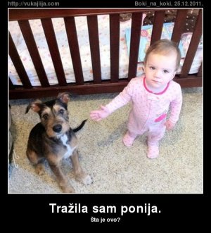 trazila-sam-ponija.jpg