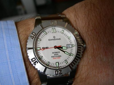 candinofdr.jpg candinofdr.jpg